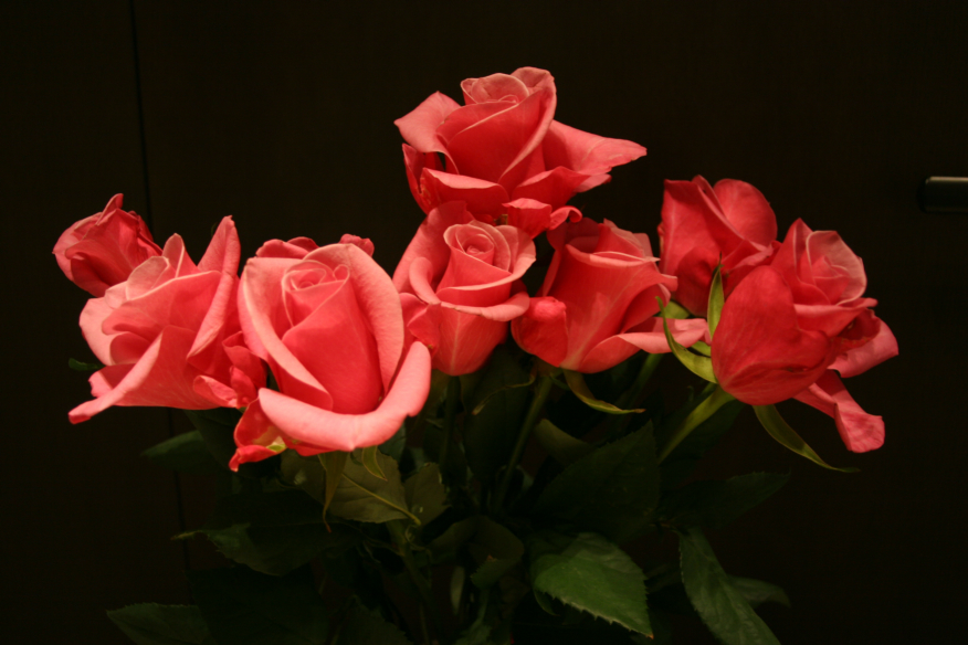 �g�b�v�y�[�W�ʐ^